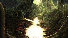 Trees sunlight forests stairways