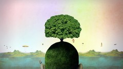 Trees surreal swings trippy