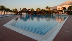 Trees swimming pools