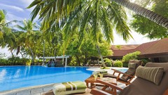 Trees swimming pools