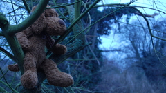 Trees teddy bears