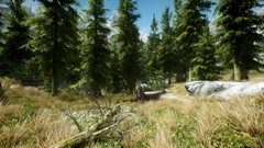 Trees the elder scrolls v skyrim video games