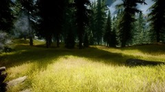 Trees the elder scrolls v skyrim video games
