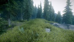 Trees the elder scrolls v skyrim video games