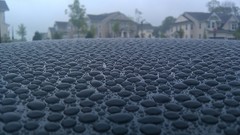 Trees town houses water drops depth of field