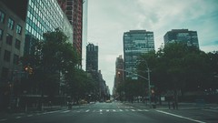 Trees traffic lights roads urban cities streets cityscapes