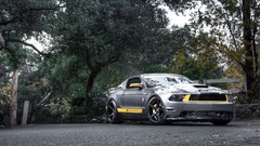 Trees tuning silver cars wheels front Speed Engines fences 