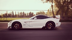 Trees tuning vintage Supercars dodge viper american cars white 