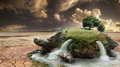 Trees turtles shore surreal