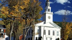 Trees urban churches