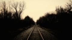 Trees USA tracks skies