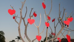 Trees valentines day