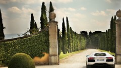 Trees villa Lamborghini skies