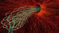 Trees void branches abstract paintings lines vortex artwork