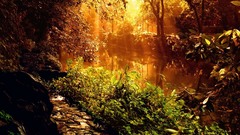 Trees walkway nature