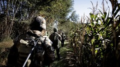 Trees War Army Denmark soldiers military patrol fields infantry 