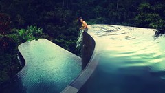 Trees water architecture models swimming pools infinity pools