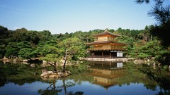Trees water architecture reflections forests
