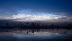 Trees water blue clouds lakes mist