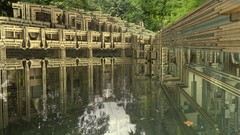 Trees water buildings