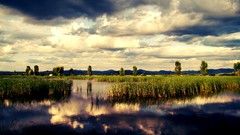 Trees water clouds lakes romania skies skyline Kökényesd