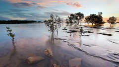 Trees water clouds waterscapes