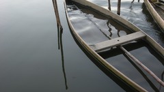 Trees water dark Boats sunny Wood