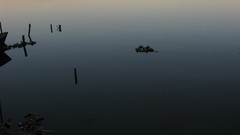 Trees water dark Boats sunny Wood