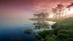 Trees water Green lakes mist