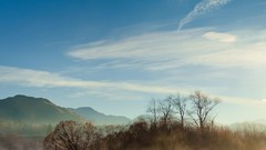 Trees water hills New Zealand mist