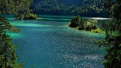 Trees water Islands lakes