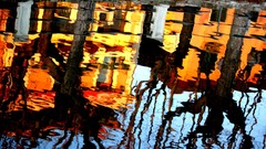 Trees water Italy reflections houses rivers