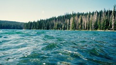 Trees water lakes waves rivers forests