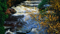 Trees water land roads waterfalls lakes forests skyscapes