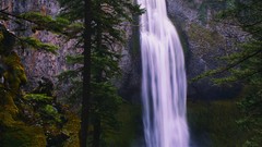 Trees water land roads waterfalls lakes forests skyscapes