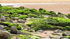 Trees water land roads waterfalls rocks lakes skyscapes deserts