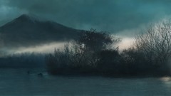 Trees water Mountains bushes mist cgi