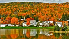 Trees water Pennsylvania lakes Smethport Hamlin Lake