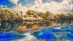 Trees water skyscapes