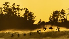 Trees water surfing silhouettes waves sunlight surfboards