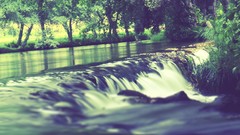 Trees water waterfalls