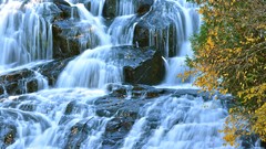Trees water waterfalls