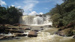 Trees water waterfalls rocks