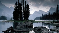 Trees water widescreen background