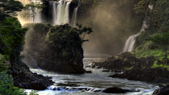 Trees waterfalls rivers