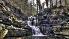 Trees waterfalls rocks
