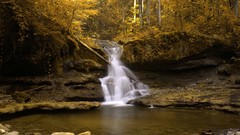 Trees waterfalls rocks forests