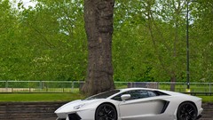Trees white Sports Car cars Lamborghini sports cars Supercars 