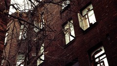 Trees windows architecture houses buildings