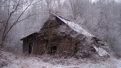 Trees winter abandoned cottage forests